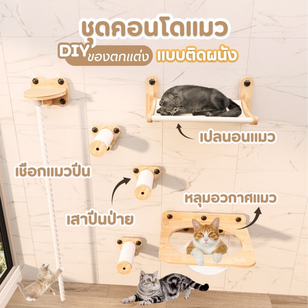 🌈PetParadise.th✨ที่นอนแมวติดกระจก เสาลับเล็บแมว คอนโดแมว ของเล่นแมว ติดตั้งง่าย ไม่ต้องเจาะ