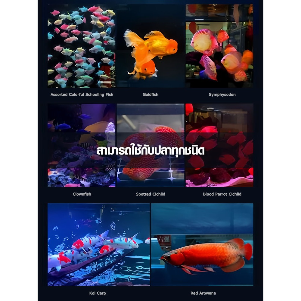 DRAGON LIGHT LED T12 2in1 5แถว (สีแดง น้ำไม่แดง) หลอดไฟสำหรับปลาสวยงามทุกชนิด - รูปที่ 7