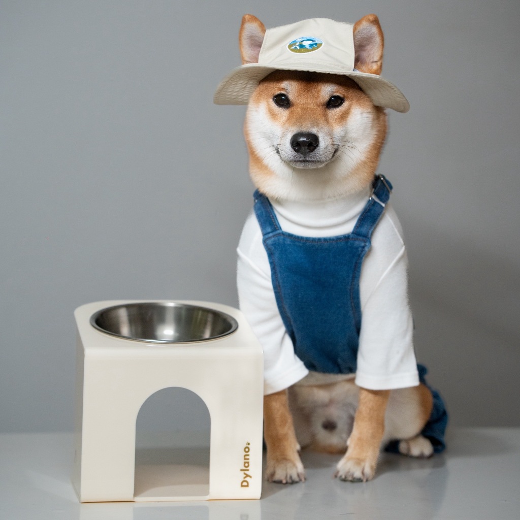 ชามพร้อมฐานยกสูงไซส์ (SM) Dylano Stand ( Small/Medium )