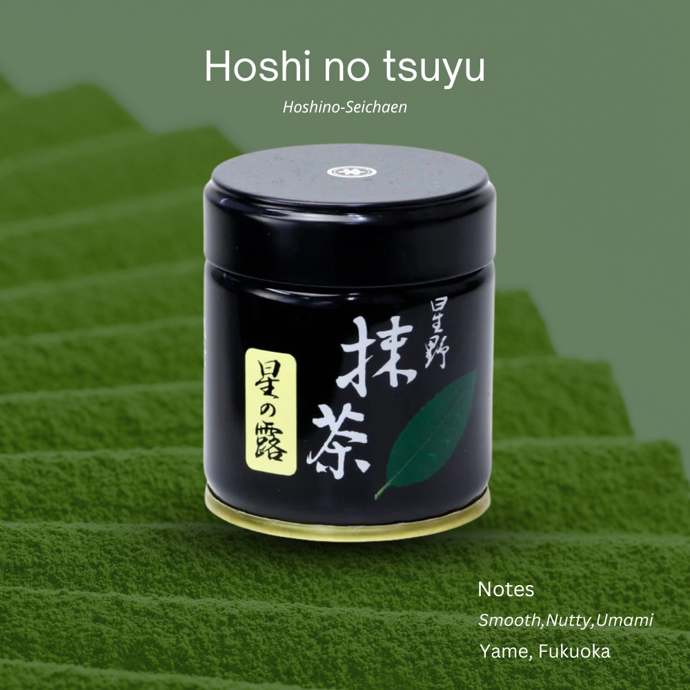 (พร้อมส่ง) "Hoshi no Tsuyu" จาก Hoshino Seichaen