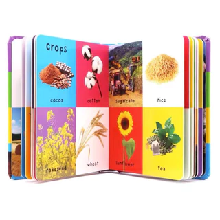 หนังสือเด็ก 100 First word board book หนังสือภาษาอังกฤษเด็กเล็ก เริ่มต้นฝึกอ่าน vocaburaly first skills(03007032)