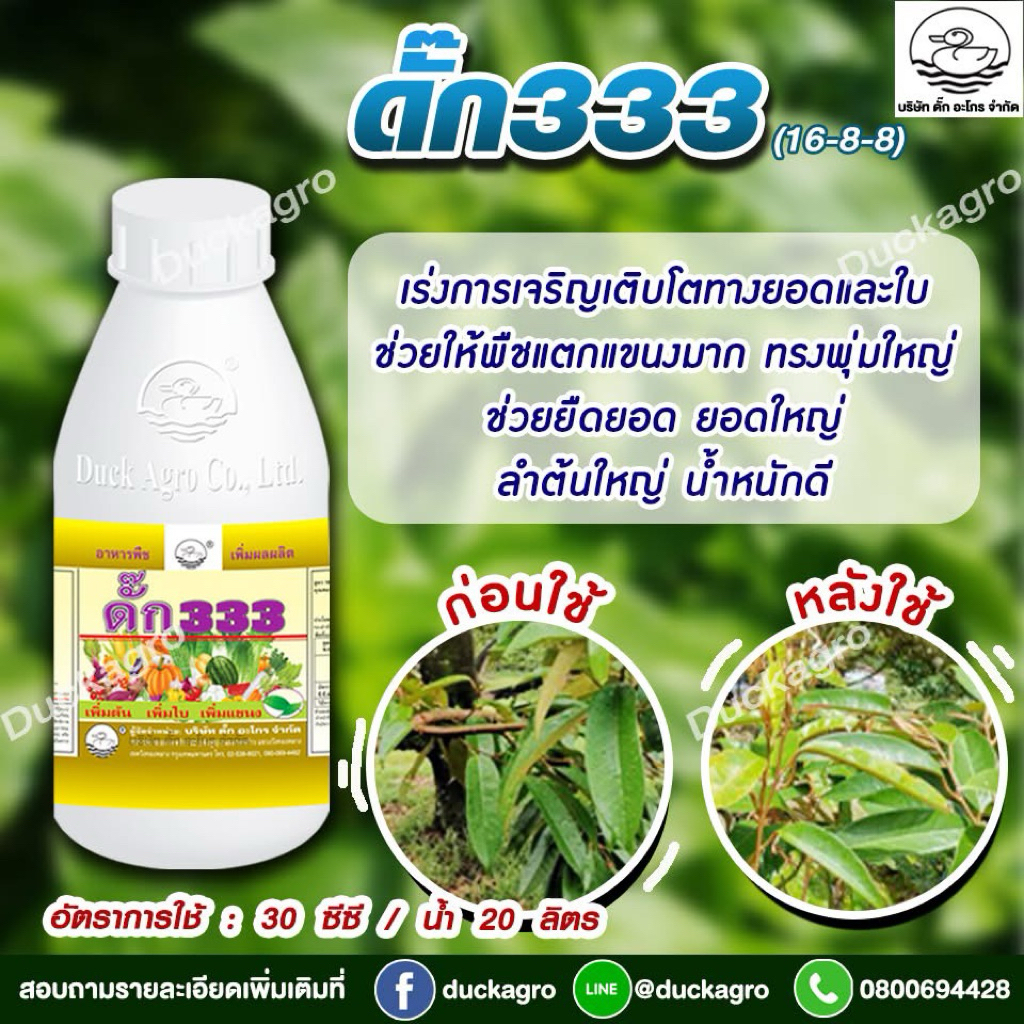ดั๊ก 333 (16-8-8) เปิดตาดอก เร่งการเจริญเติบโตของยอดและใบ ช่วยยืดยอด ขนาด 1 ลิตร
