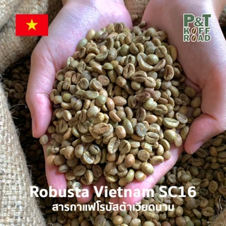 [พร้อมส่ง] สารกาแฟ Robusta Vietnam SC16 . โรบัสต้า เวียดนาม Green Bean รวม บรรจุ 500g - 1 kg. P&T KoffRoad