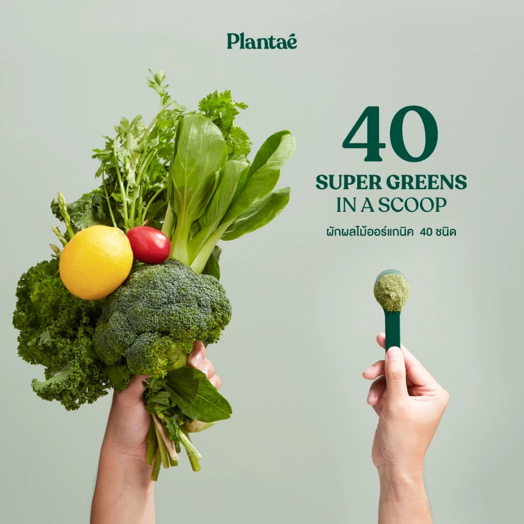 Plantae Whole Food Complex Powder Complete Green กระปุก 210g ผงผัก ผงผักและผลไม้ ผงผักรวม 40 ชนิด สำหรับคนไม่ชอบกินผัก thumbnail 4