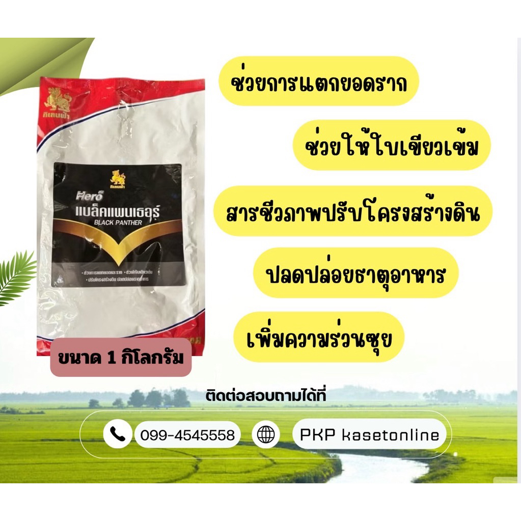 ฮีโร่ แบล็คแพนเธอร์ ขนาด 1 กิโลกรัม ช่วยการแตกยอด