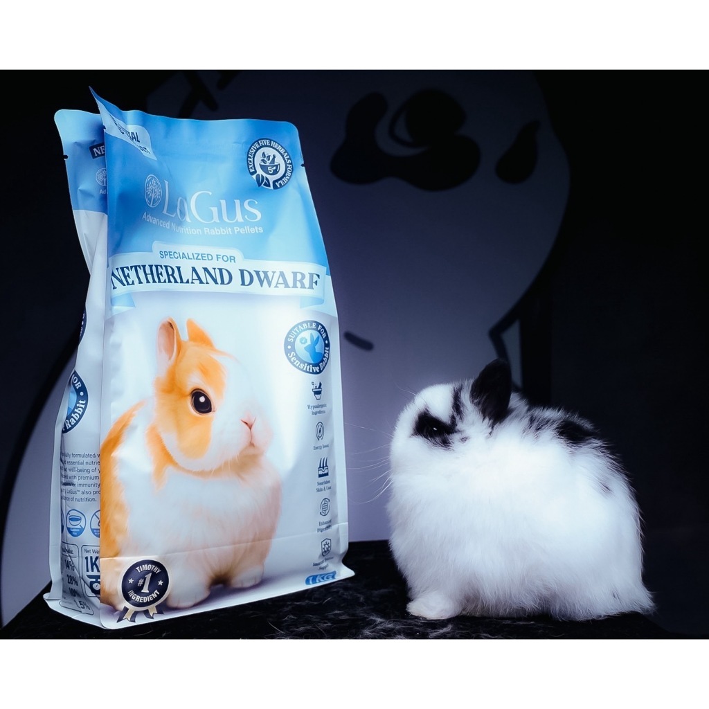 LaGus สูตร Netherland Dwarf