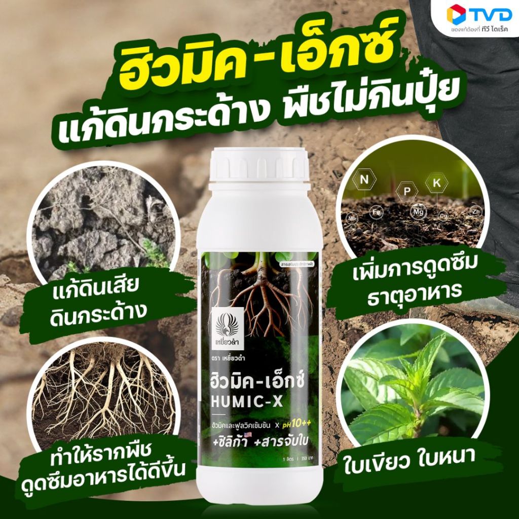 [สารเร่งราก ปรับสภาพดินสูตรน้ำ] ฮิวมิค ฟูลวิคน้ำ pH10+ แก้ดินเป็นกรด ปรับน้ำให้เป็นกลาง ปล่อยปุ๋ยในดิน ตราเหยี่ยวดำ