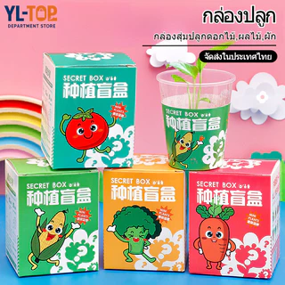 เมล็ดพืชดอกไม้ กล่องปลูกเม็ดพันธุ์ (แบบสุ่ม) กระถางเล็ก พร้อมส่งในประเทศไทย BS42
