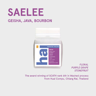 Hai single origin (กาแฟคั่วอ่อน) Saelee, Chiang Rai,Thailand…
