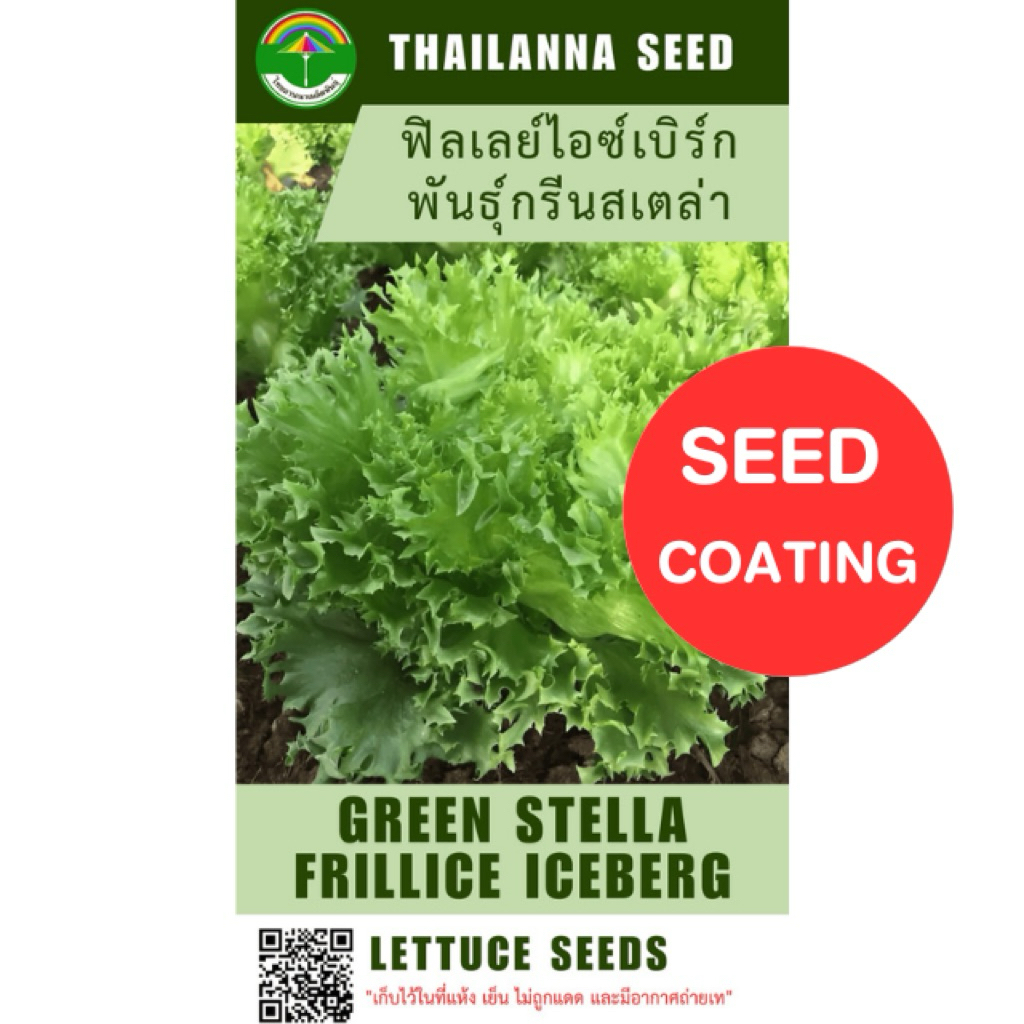 เมล็ดพันธุ์ผักสลัด ฟิลเลย์ไอซ์เบิร์ก พันธุ์กรีนสเตล่า ( ขนาด 0.5 กรัม ) ( เมล็ดเคลือบ ) รหัสสินค้า SSC 1002