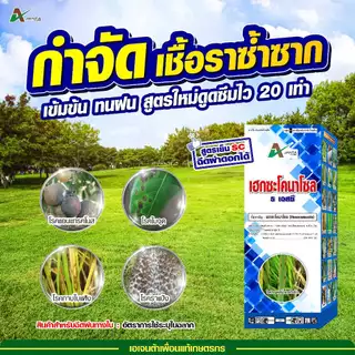 เฮกซะโคนาโซล 5 SC. (สูตรเย็น) ฉีดผ่าดอกได้ กำจัดโรคพืช โรคใบไหม้ ใบจุด แอนแทรคโนส กาบใบแห้ง เอเจนต้า คอร์ป 1 ลิตร