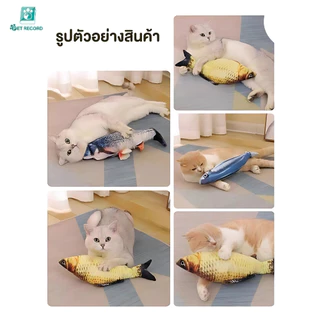 Pet Record ตุ๊กตาแคทนิป ปลาแคทนิป ของเล่นแมว แคทนิป 20CM ดิ้นไม่ได้