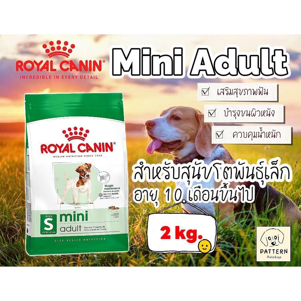 Royal Canin Mini Adult 2 kg. อาหารสำหรับสุนัขโตพันธุ์เล็กอายุ 10 เดือนขึ้นไป หมดอายุปี 2027