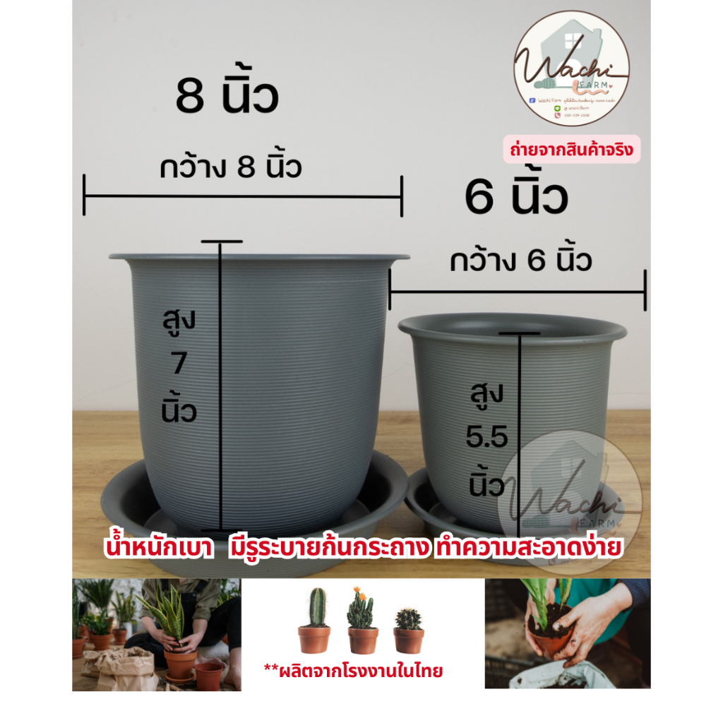 [โค้ด LUXUPTOCT ลด 5%] กระถางญาญ่า ทรงกลม มินิมอล ขนาด 6, 8, 10, 12 นิ้ว สีเทา พร้อมจานรอง - รูปที่ 2