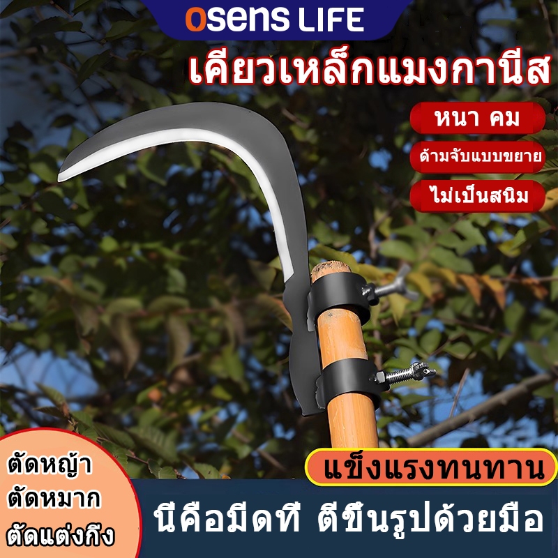 มีดขอ เคียว เกี่ยว มีดขอชัก มีดขอโค้ง มีดขอ มีดพร้า มีดขอชักกล้วย ตัดแต่งใบกล้วย เคียวตัดทางปาล์ม มีดขอกล้วย มีดทำสวน