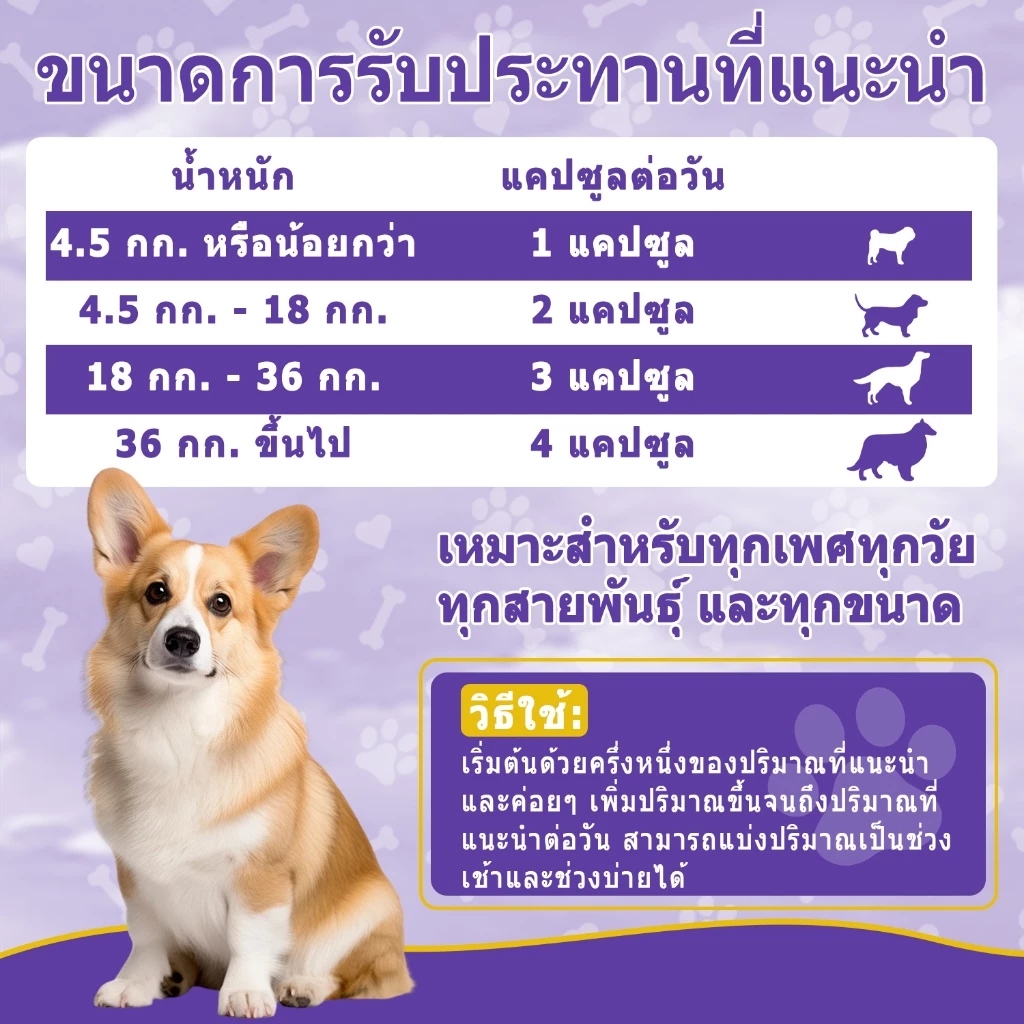 Popoo Skin & Coat Support for Dogs ขนมสุนัขบำรุงผิวหนังและขน สำหรับสุนัขทุกวัย อาหารเสริมสุนัข 120 แคปซูล thumbnail 9