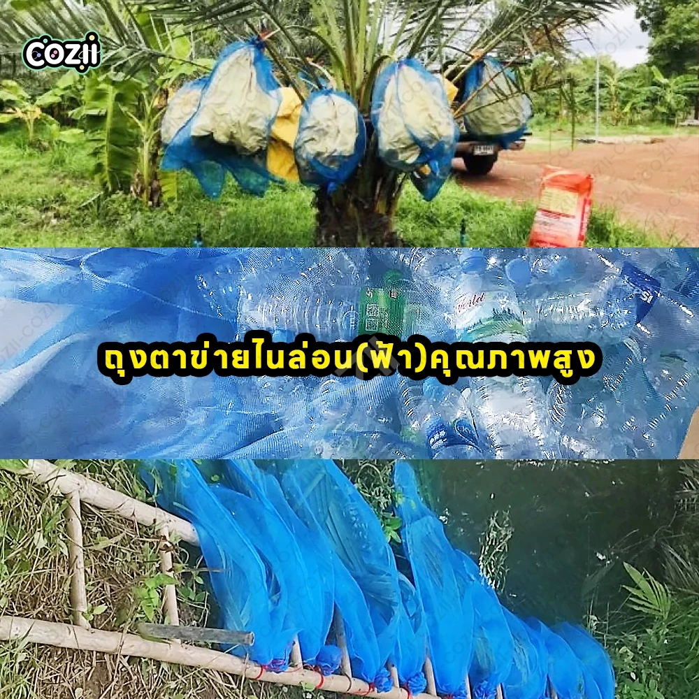 ถุงตาข่ายไนล่อน ห่อผลไม้กันแมลง ใส่ขวด ของ thumbnail 7