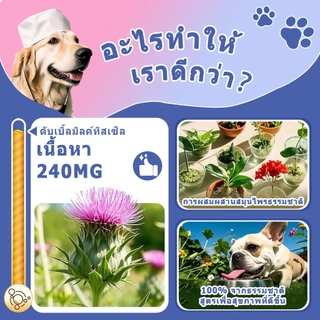 Popoo Liver Health Support for Dogs การทำงานของตับ ภูมิคุ้มกัน สุขภาพระบบย่อยอาหาร ขนมสุนัข อาหารสุนัข 120 แคปซูล