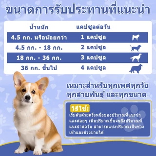 Popoo Liver Health Support for Dogs การทำงานของตับ ภูมิคุ้มกัน สุขภาพระบบย่อยอาหาร ขนมสุนัข อาหารสุนัข 120 แคปซูล