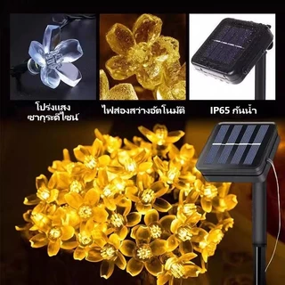 AIMO ไฟตกแต่งโซล่าเซลล์ LED 50ดวง 10เมตร 8 โหมดการใช้งาน solar ไฟดอกซากุระ