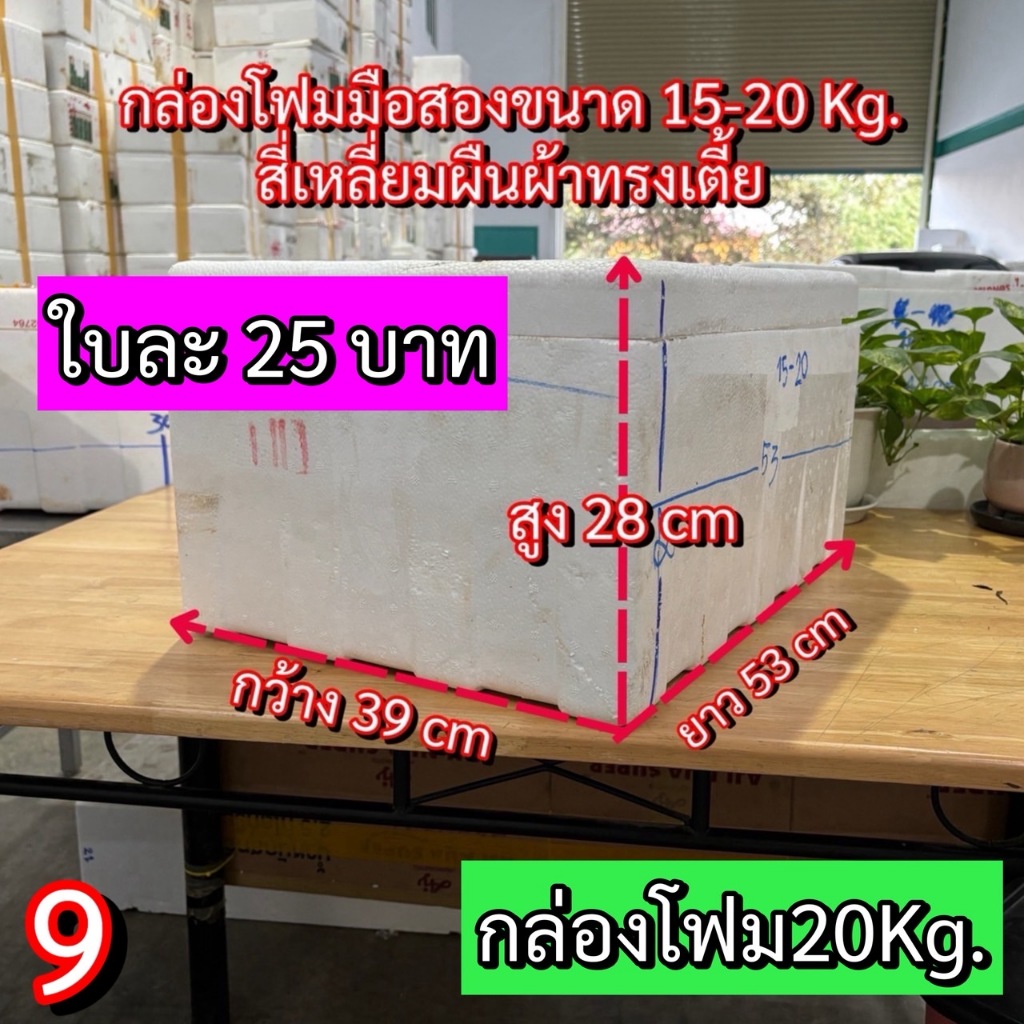 กล่องโฟม 20Kg. กล่องโฟม กล่องโฟมเลี้ยงปลา (9) กล่องโฟมปลูกผัก กล่องโฟมเก็บความเย็น