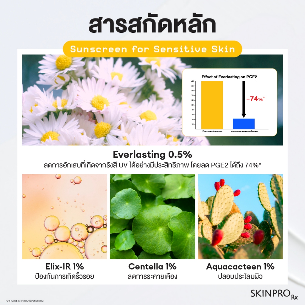 รูปภาพ 5