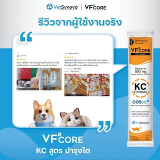 VFcore KC วิตามินแมวเลีย สูตรบำรุงไต 12 ซอง