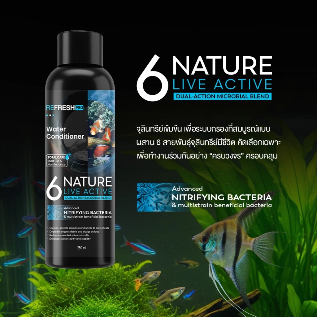 6NATURE จุลินทรีย์ตู้ปลา Nitrifying + Bacillus 6 สายพันธุ์ ตั้งตู้ บ่อปลา ไม้น้ำ thumbnail 3