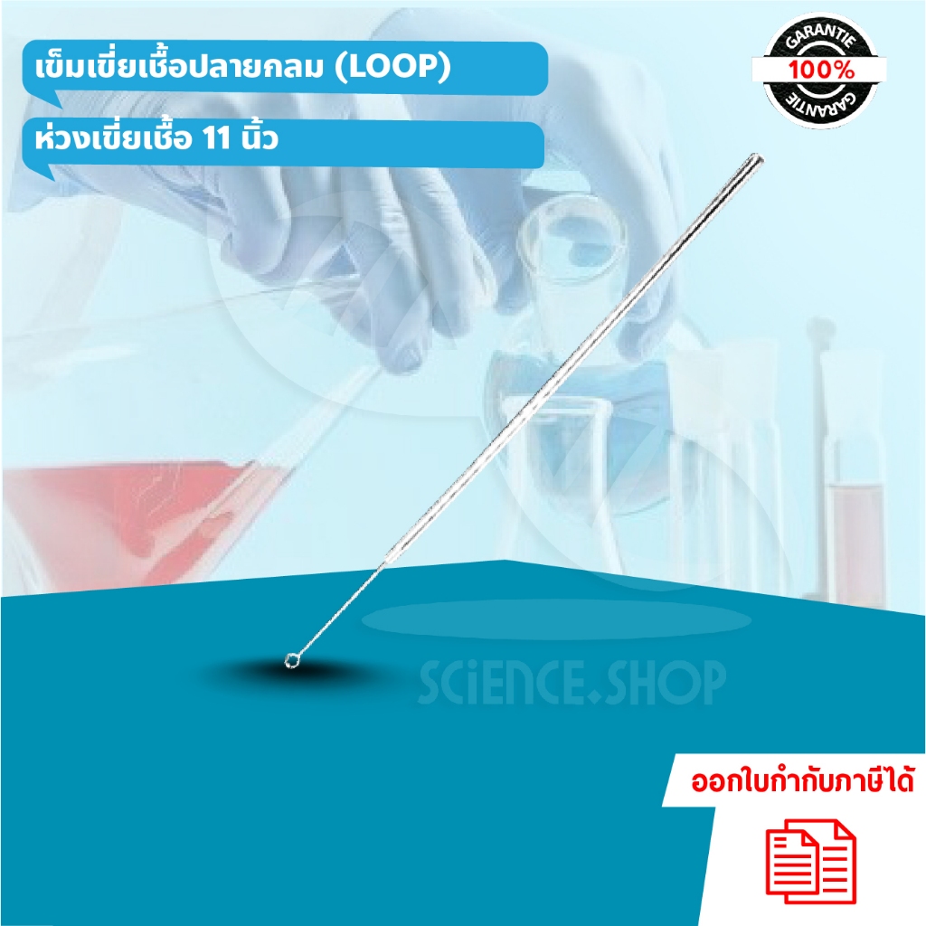 เข็มเขี่ยเชื้อปลายกลม (LOOP) หรือ ห่วงเขี่ยเชื้อ 11 นิ้ว