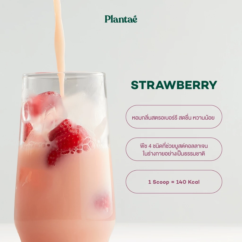 Plantae Complete Plant Protein รส Strawberry กระปุก 800g โปรตีนจากพืช plant based เพิ่มกล้ามเนื้อ โปรตีนสูง แพลนเต้ thumbnail 5