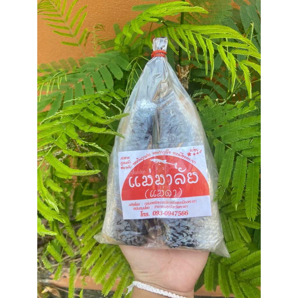 ปลาส้มพะเยา ปลาส้มตัว 2 ตัวคู่  ห่อละ 60 บาท ปลาส้มแม่มาลัยเจ้าดังจังหวัดพะเยา