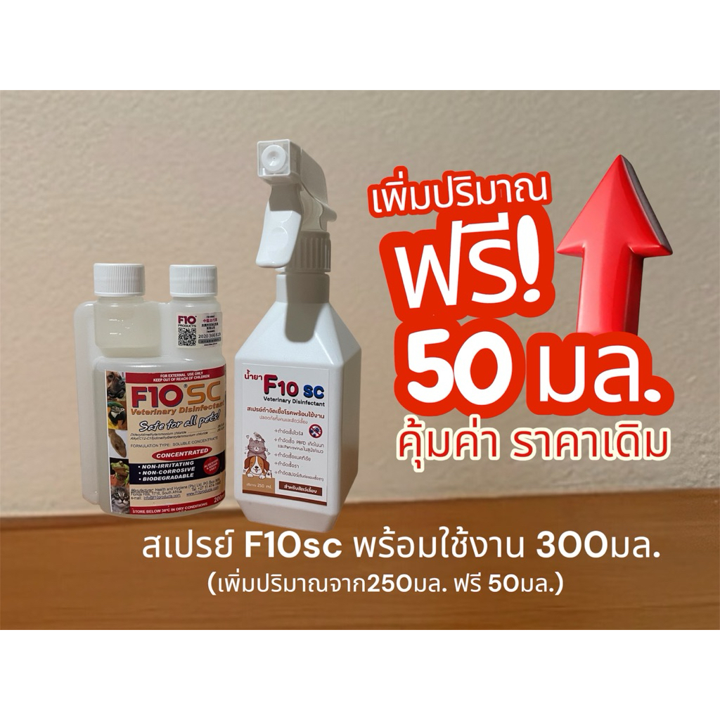F10 SC สเปรย์น้ำยาฆ่าเชื้อโรค พร้อมใช้งาน (ใหม่ทุกวัน) ปลอดภัยกับสัตว์เลี้ยงและมนุษย์