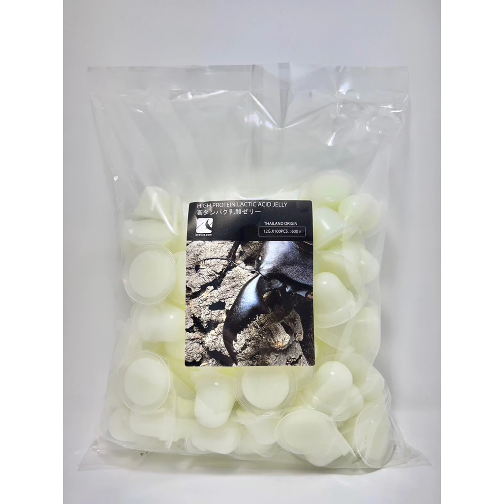 ⭐️Jelly High protein lactic 12g.x100 pcs. for Insect and Beetles. อาหารด้วง