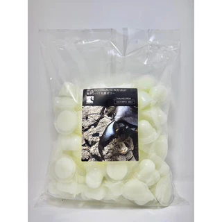⭐️Jelly High protein lactic 12g.x100 pcs. for Insect and Beetles. อาหารด้วง