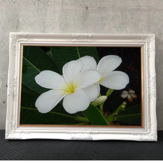 กรอบรูปหลุยส์ สีทอง สีขาวใส่ภาพขนาด 16x20 นิ้ว, 15x21 นิ้ว,16x24 นิ้ว, 20x24นิ้ว, 20x30นิ้ว,พร้อมกระจก สริงแขวนผนัง