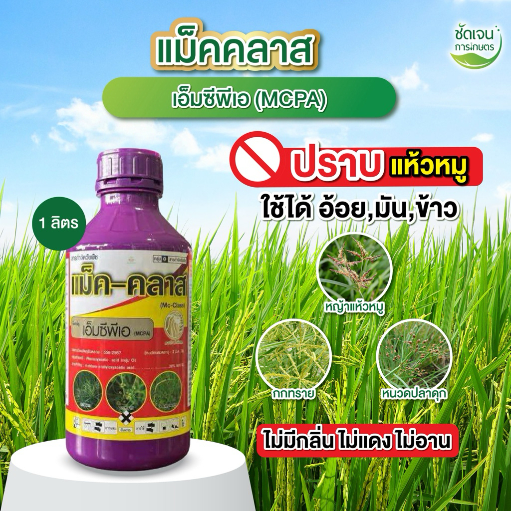 แม็คคลาส MPCA (ขนาด 1 ลิตร ) 1 ขวด 5 ไร่ หนวดปลาดุก วัชพืชในนาข้าว