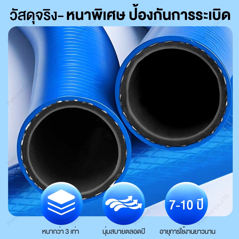 รูปภาพ 4