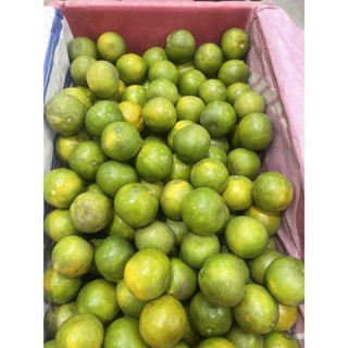 ส้มเขียวหวานรังสิต หวาน หอม ฉ่ำน้ำ เนื้อแน่นสีสวย