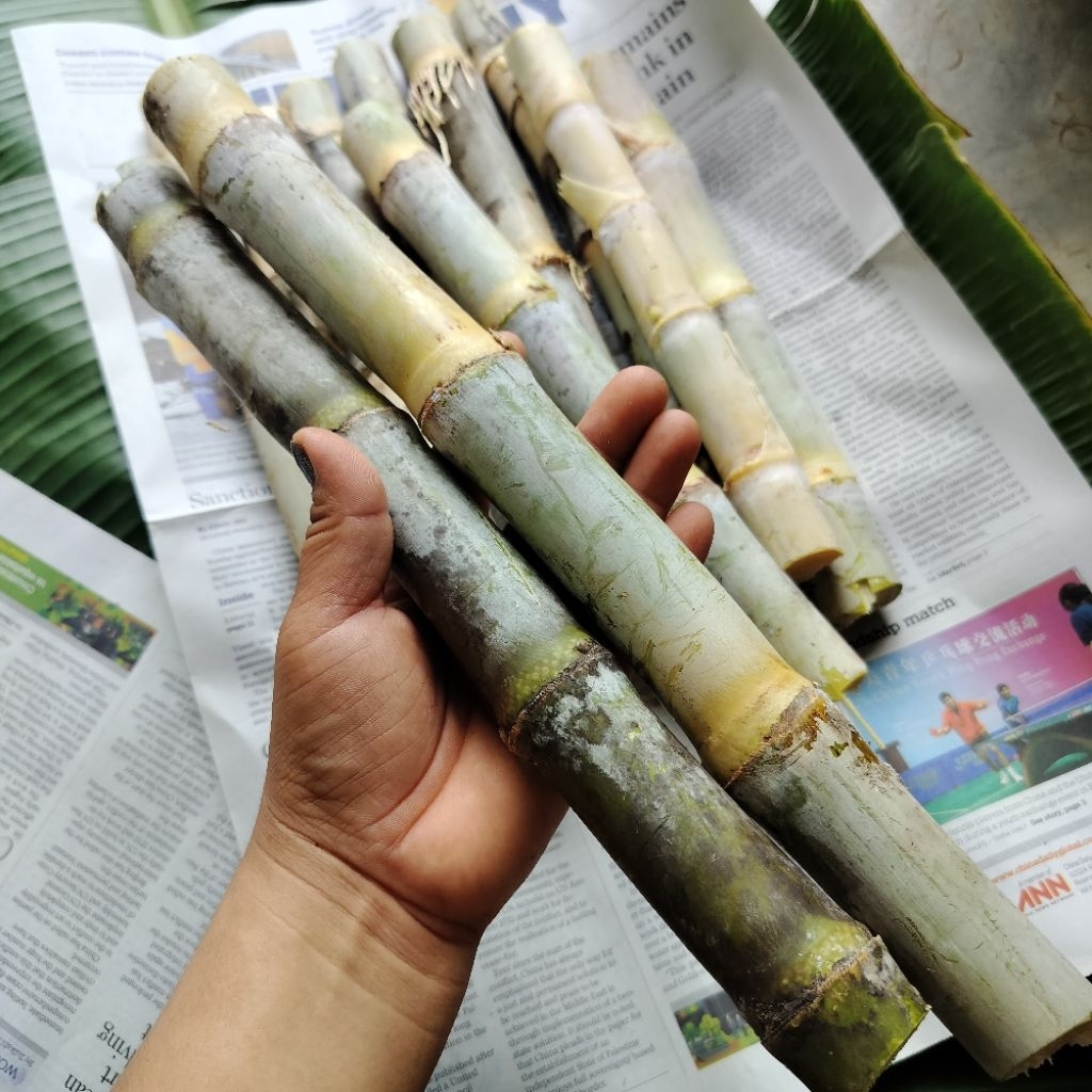 อ้อยหวาน  รับประทานได้ปลอดสาร ตัดสดๆ จำนวน 20 ท่อน ยาว 30ซม. ห้ามสั่งเกิน2ออเดอร์ต่อ1คำสั่งซื้อ