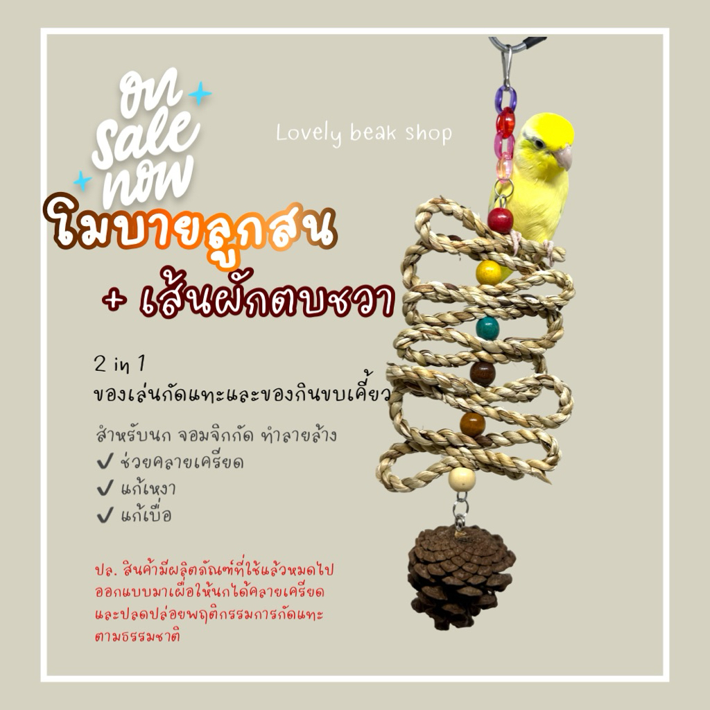 ของเล่นนก ของเล่นจากผลิตภัณฑ์ธรรมชาติ โมบายลูกสน+เส้นผักตบชวา โมบายของเล่นนก สำหรับนกขนาดเล็ก