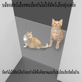【ThaiBreeze】ฟรีจากการเจาะรูอัตโนมัติหดสัตว์เลี้ยงรั้วสุนัขแมวรั้วบันไดในร่มทางเดินแยกตาข่าย