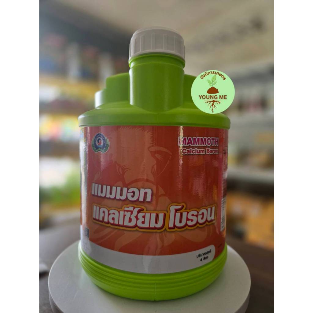 แมมมอท แคลเซียม โบรอน ธาตุอาหารรอง-เสริม ช่วยป้องกันไส้ซึม และเพิ่มคุณภาพของผลผลิต