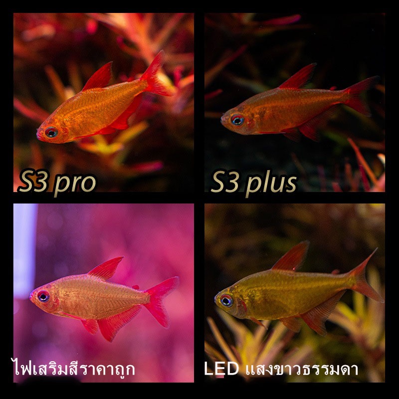 🔥ของแท้ 💯 ไฟไม้น้ำ 13W WRGB ไฟตู้ปลา Neo-Helios S3pro+ รุ่นใหม่ 2025 🚚จัดส่งจากไทย🚚  TZR รูปที่ 3