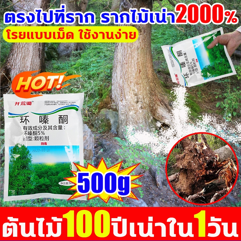 ยาฆ่าต้นไม้ใหญ ยาฆ่าหญ้ 500g ผงกำจัดต้นไม้ ไม่ทำลายดิน รวดเร็ว ทนนาน ผงกำจัดกอไผ่ ยาฆ่าตอไม้ ยาฆ่าไม้ไผ่ ยาฆ่าตอต้นไม้
