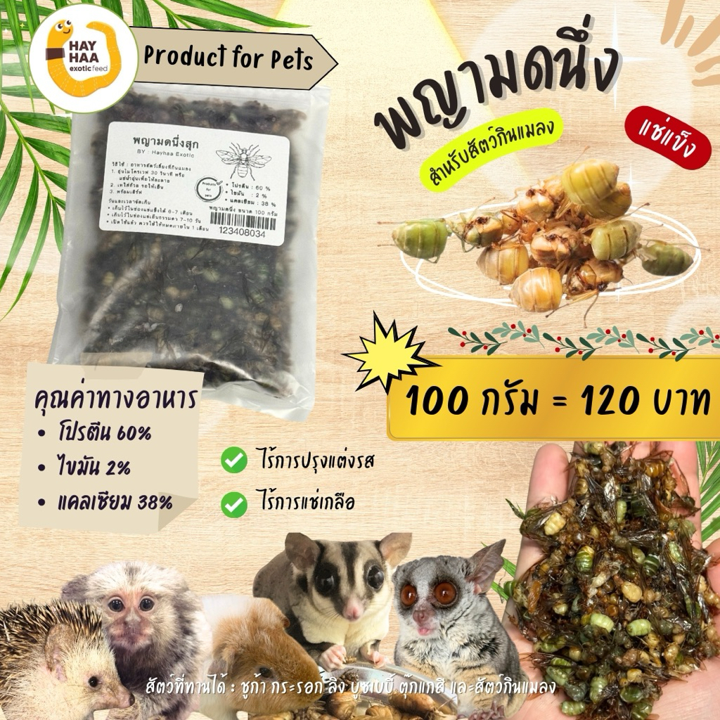 พญามดคัดเกรดนึ่งสุกสำหรับสัตว์