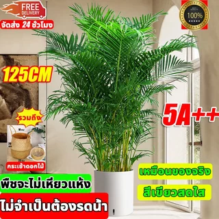 🌲ฟรี!!!กระถาง🌲ต้นไม้ปลอม ต้นไม้พลาสติก ไม่ต้องบำรุงรักษา ดูแลรักษาง่าย ต้นไม้ปลอมใหญ่ ใบไม้ปลอม ต้นไม้ ต้นไม้ใหญ่