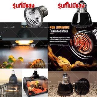 โคมไฟเซรามิก Light dome ขั้วเซรามิก ทนความร้อน โคมไฟเต่าบกและสัตว์เลื้อยคลาน 5.5นิ้ว เต่า กิ้งก่า