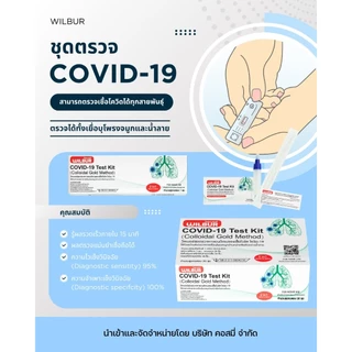 ชุดตรวจโควิด ATK Singclean 2in1 Antigen Test Kit 1กล่อง 20เทส กล่องเขียว แบบก้านยาว ATK ตรวจโควิด