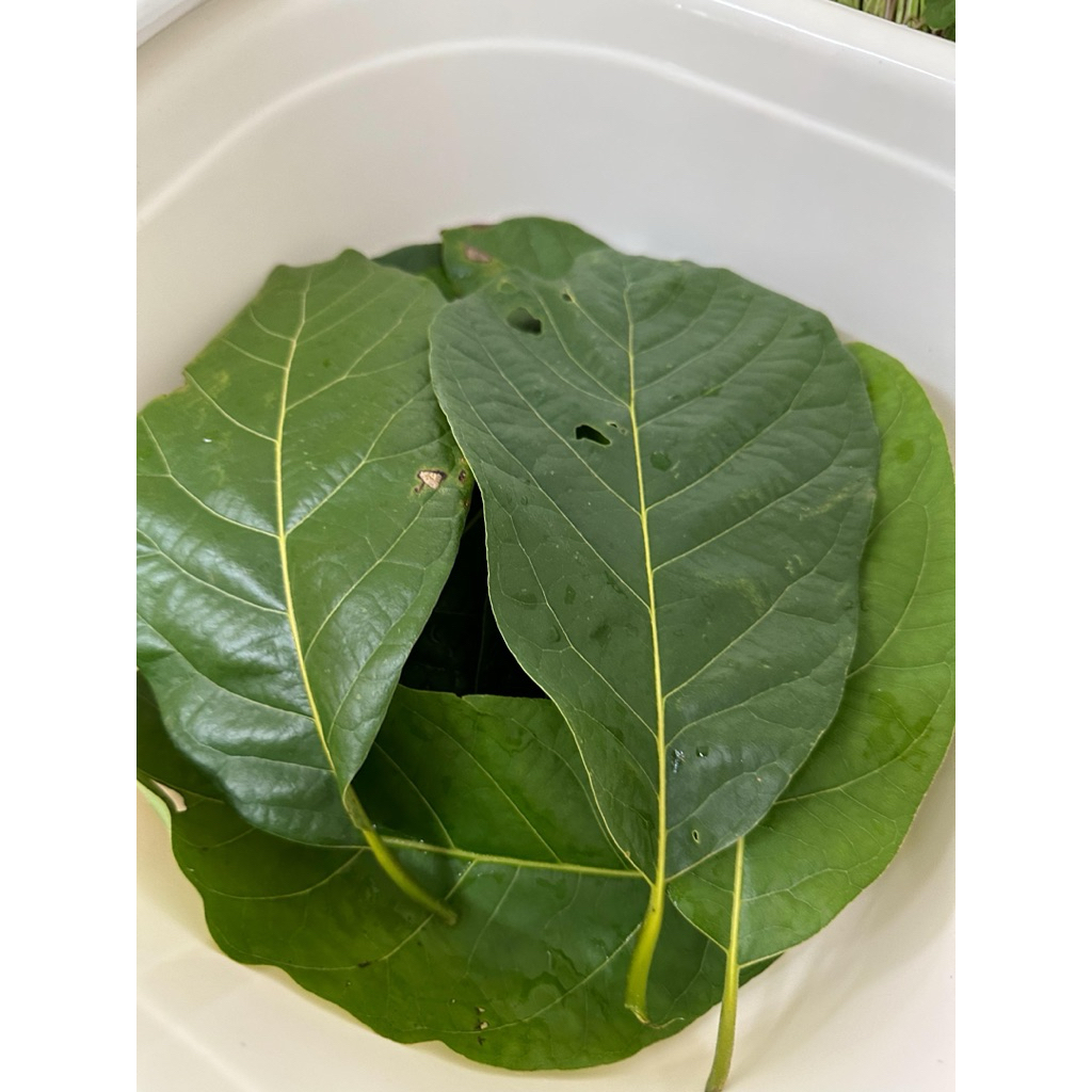 ครีมหมักสมุนไพรสด 2 แกลอน ขนาด 1,000ml. บำรุงหนังศีรษะ บำรุงราก ช่วยให้ผมเกิดใหม่ เร่งงอก ช่วยดก ช่วยหนา ลดมัน ลดรังแค - รูปที่ 2