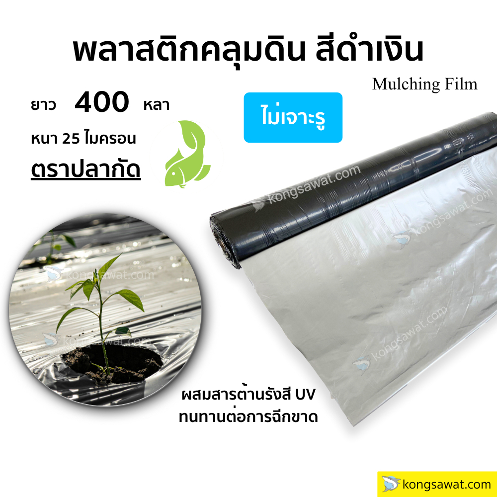 พลาสติกคลุมดิน สีดำเงิน ผสมยูวี ตราปลากัด ยาว 400 หลา หนา 25 ไมครอน